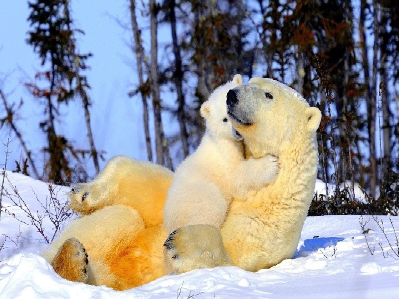福建试管费用多少，试管会出错吗